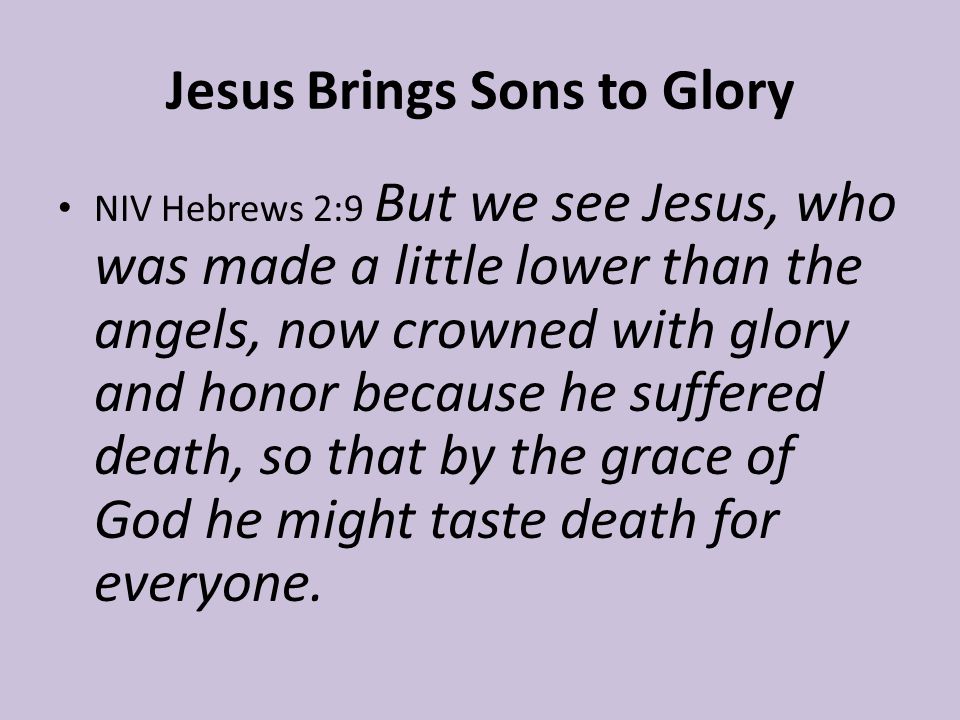 Jesus Brings Sons to Glory NIV Hebrews 2:9 But we see Jesus, who was made a little lower than the angels, now crowned with glory and honor because he suffered death, so that by the grace of God he might taste death for everyone.