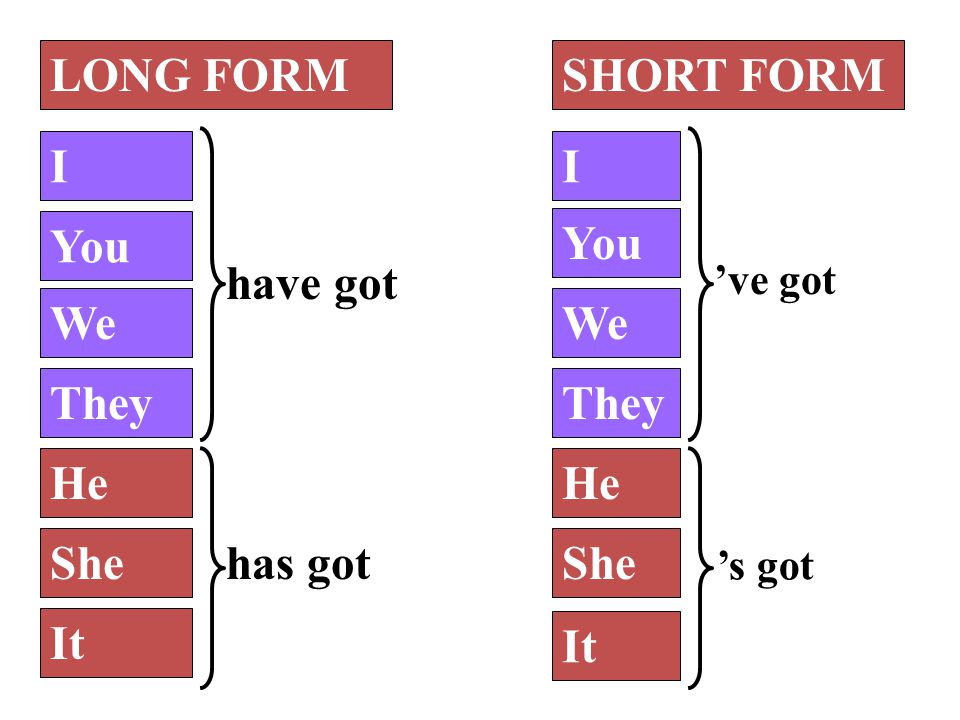 6 th GRADERS. LONG FORM II You We They He She It have got has got 've got 's  got SHORT FORM. - ppt download