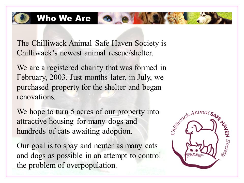 Who We Are The Chilliwack Animal Safe Haven Society is Chilliwack’s newest animal rescue/shelter.