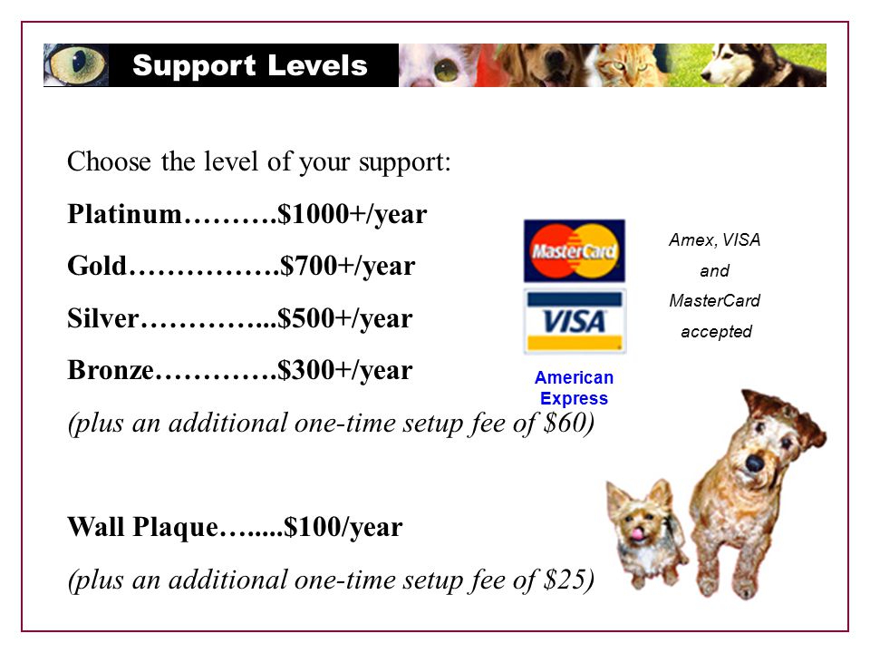 Support Levels Choose the level of your support: Platinum……….$1000+/year Gold…………….$700+/year Silver…………...$500+/year Bronze………….$300+/year (plus an additional one-time setup fee of $60) Wall Plaque….....$100/year (plus an additional one-time setup fee of $25) Amex, VISA and MasterCard accepted American Express