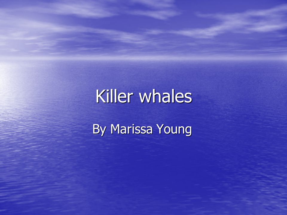 Killer whales By Marissa Young