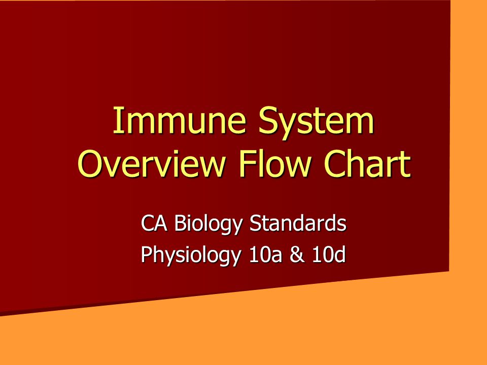 Immune Response Flow Chart