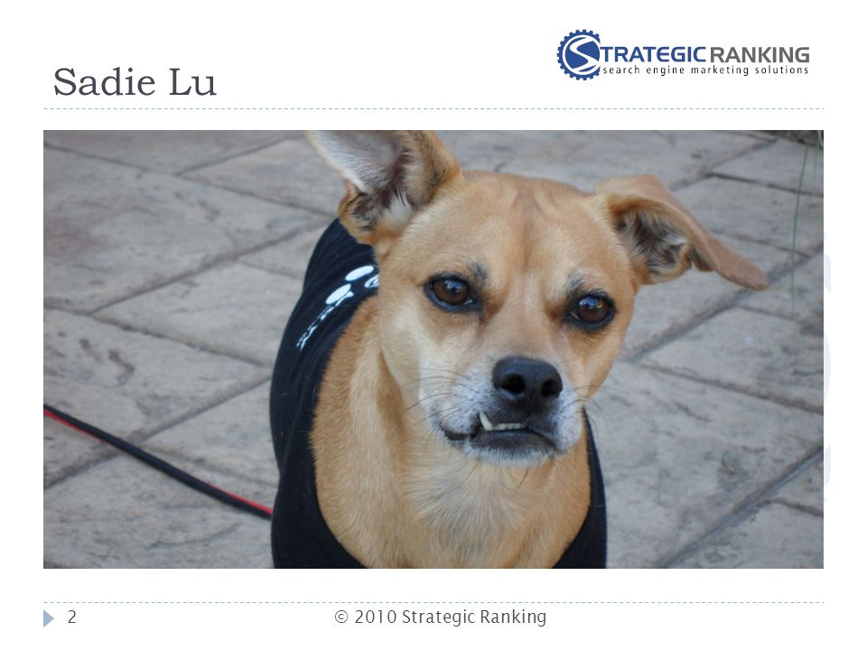 Sadie Lu 2© 2010 Strategic Ranking