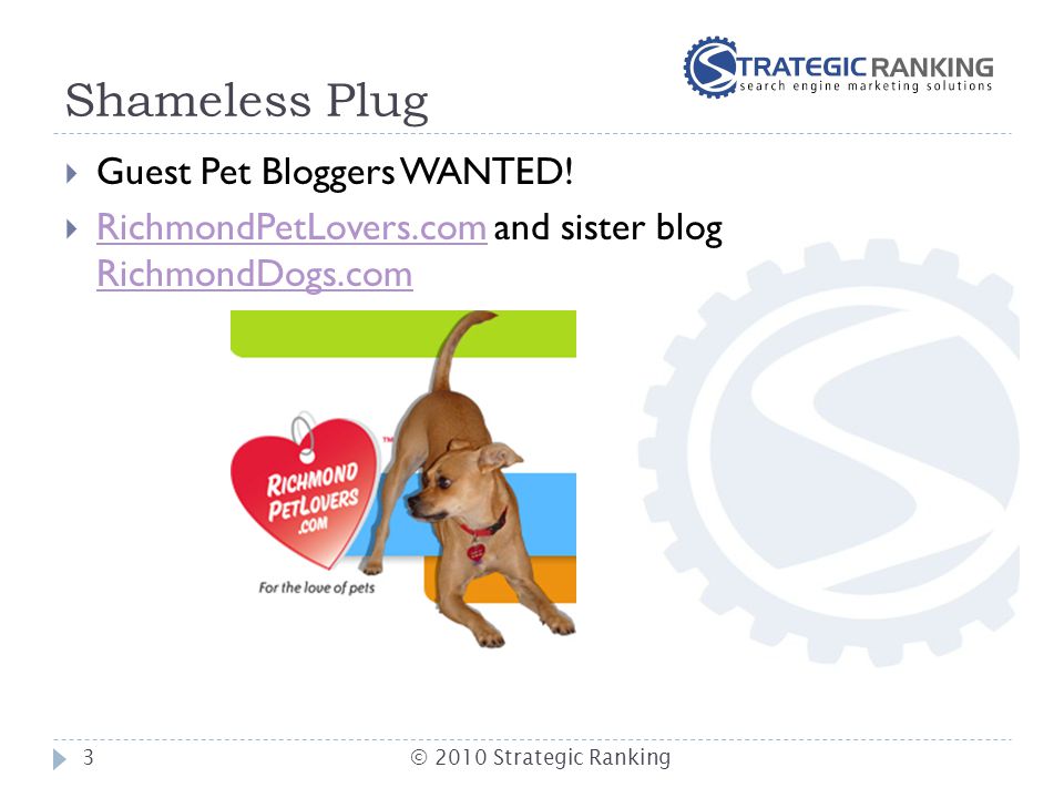Shameless Plug  Guest Pet Bloggers WANTED.