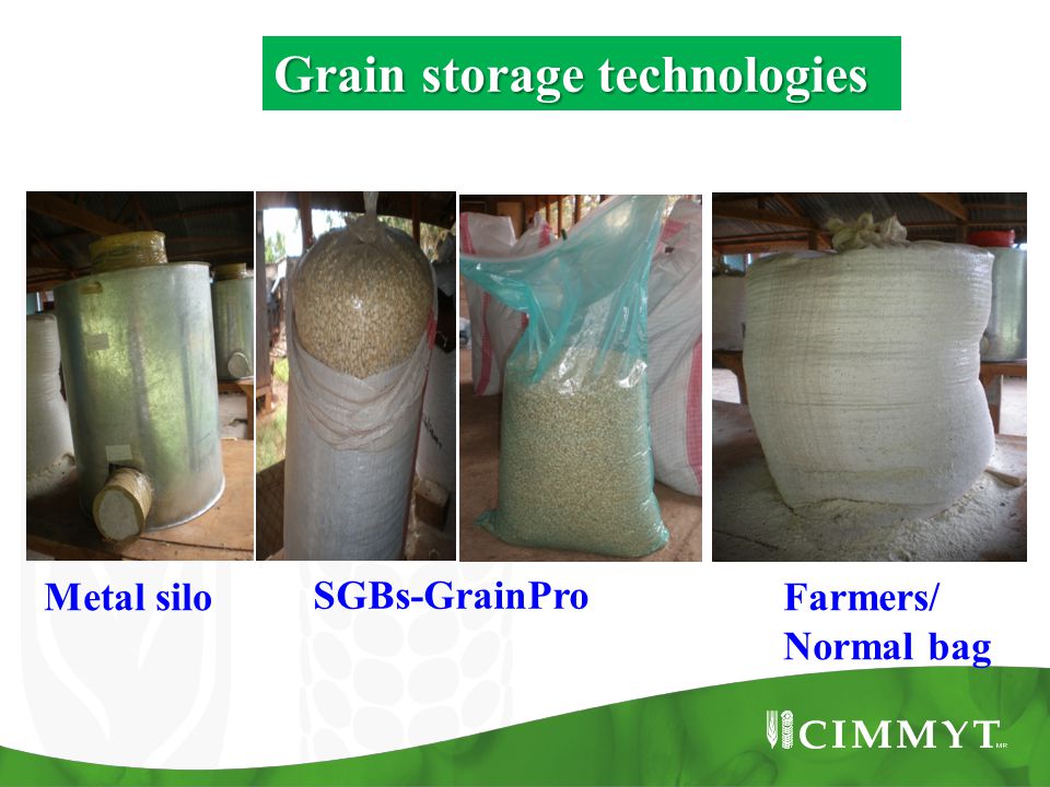 Metal silo SGBs-GrainPro Farmers/ Normal bag Grain storage technologies