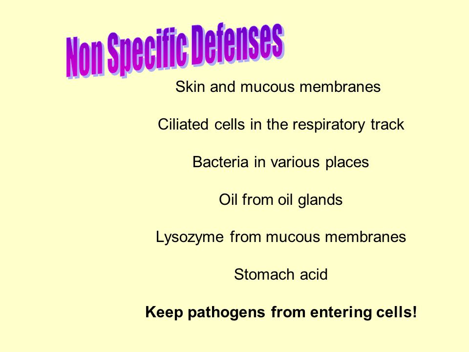 Skin and mucous membranes Ciliated cells in the respiratory track Bacteria in various places Oil from oil glands Lysozyme from mucous membranes Stomach acid Keep pathogens from entering cells!