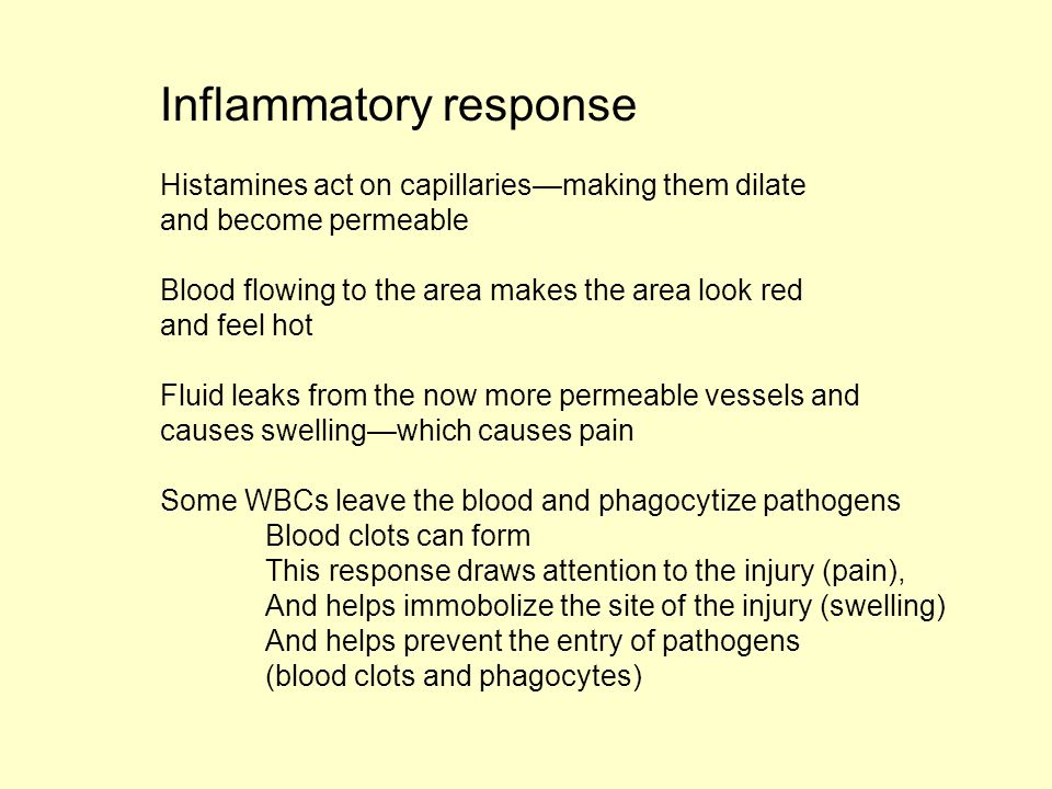 Inflammatory response Histamines act on capillaries—making them dilate and become permeable Blood flowing to the area makes the area look red and feel hot Fluid leaks from the now more permeable vessels and causes swelling—which causes pain Some WBCs leave the blood and phagocytize pathogens Blood clots can form This response draws attention to the injury (pain), And helps immobolize the site of the injury (swelling) And helps prevent the entry of pathogens (blood clots and phagocytes)