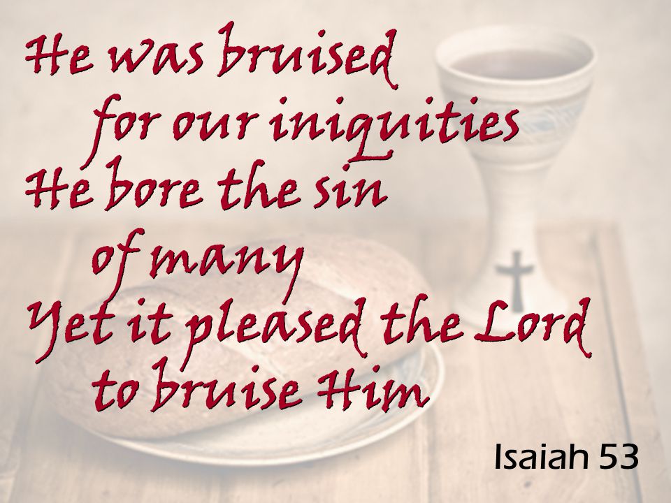 Isaiah 53 He was bruised for our iniquities He bore the sin of many Yet it pleased the Lord to bruise Him He was bruised for our iniquities He bore the sin of many Yet it pleased the Lord to bruise Him