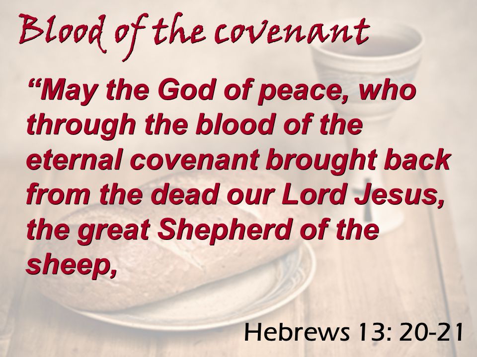 May the God of peace, who through the blood of the eternal covenant brought back from the dead our Lord Jesus, the great Shepherd of the sheep, Blood of the covenant Hebrews 13: 20-21
