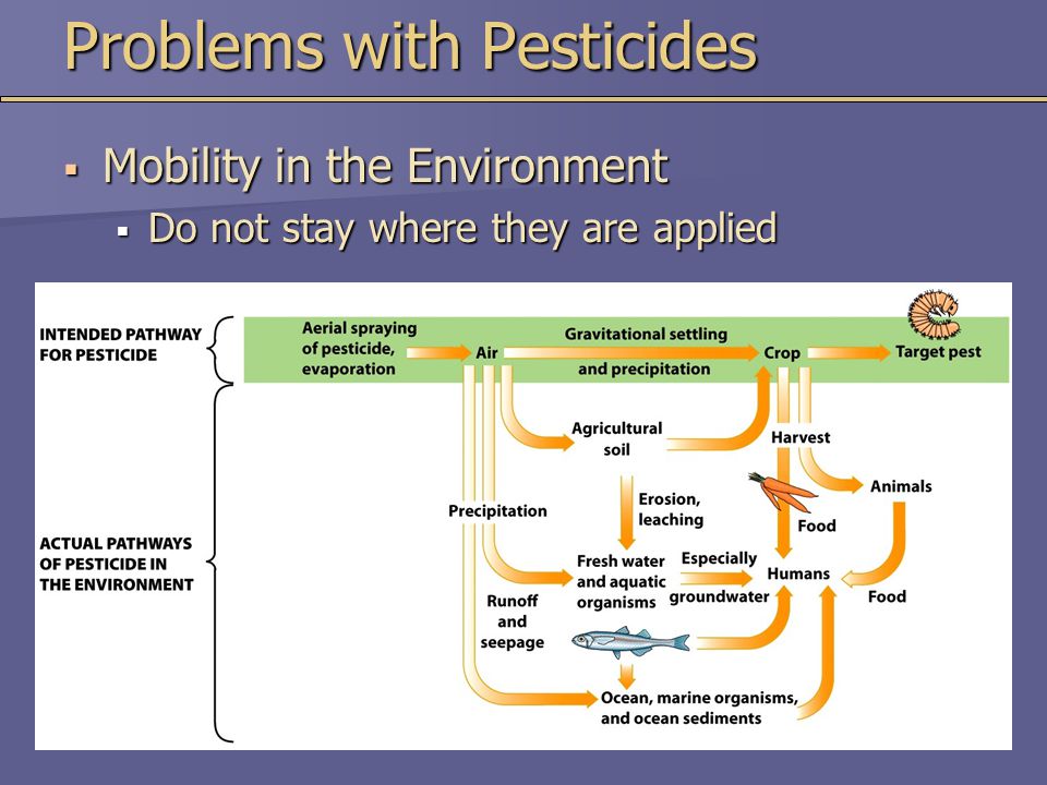 Problems with Pesticides  Mobility in the Environment  Do not stay where they are applied