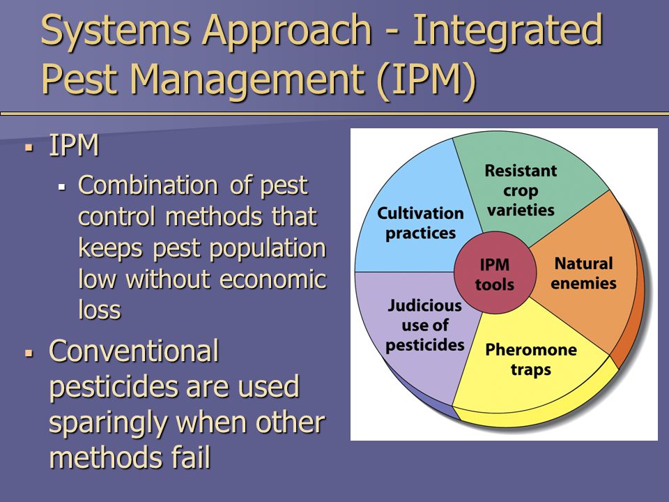 Systems Approach - Integrated Pest Management (IPM)  IPM  Combination of pest control methods that keeps pest population low without economic loss  Conventional pesticides are used sparingly when other methods fail