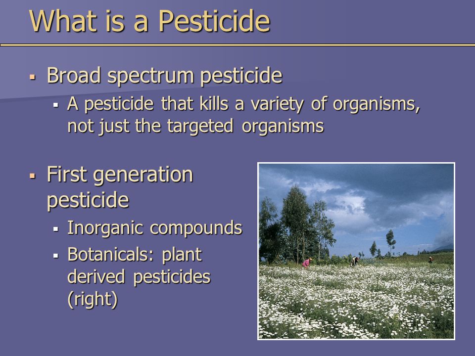  First generation pesticide  Inorganic compounds  Botanicals: plant derived pesticides (right) What is a Pesticide  Broad spectrum pesticide  A pesticide that kills a variety of organisms, not just the targeted organisms