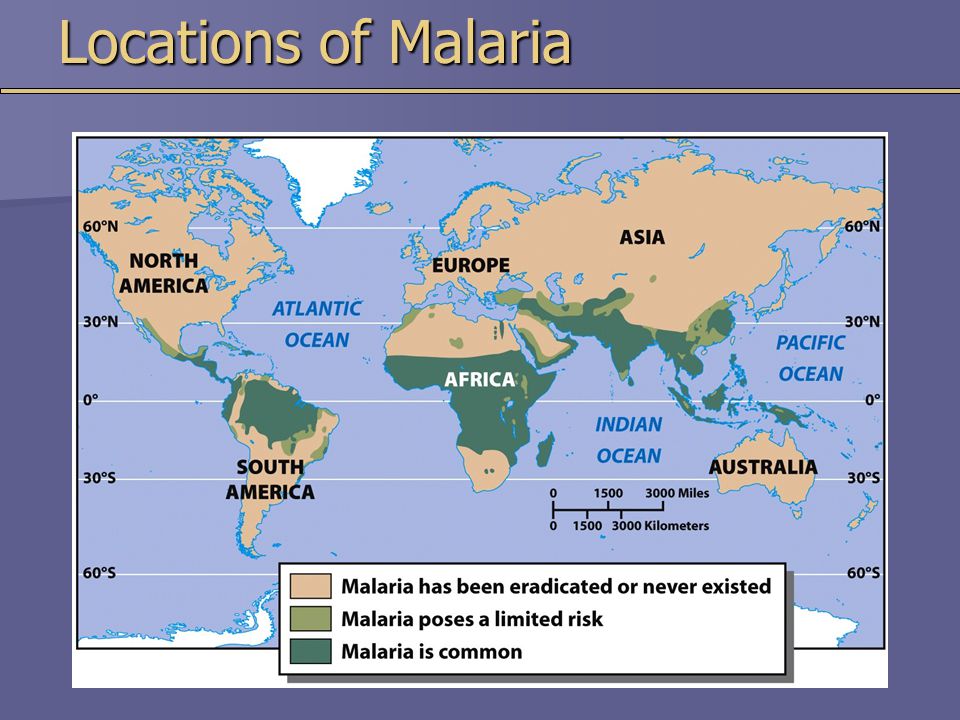 Locations of Malaria