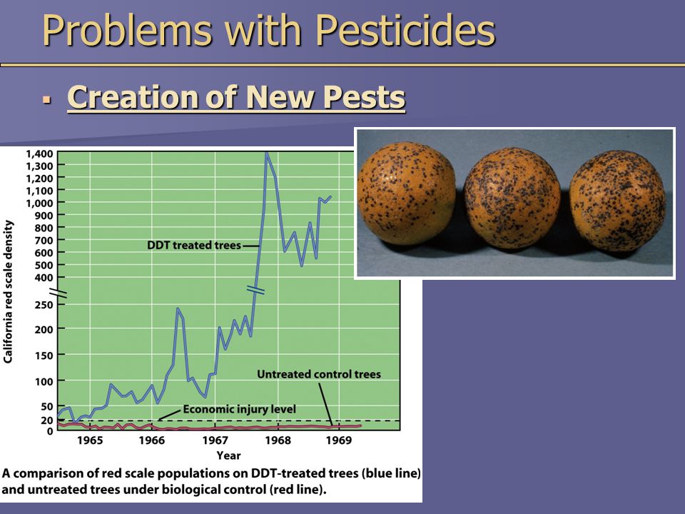 Problems with Pesticides  Creation of New Pests