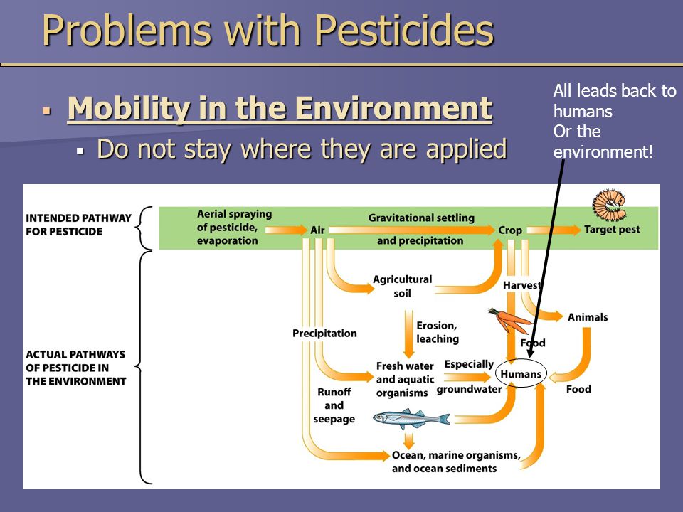 Problems with Pesticides  Mobility in the Environment  Do not stay where they are applied All leads back to humans Or the environment!