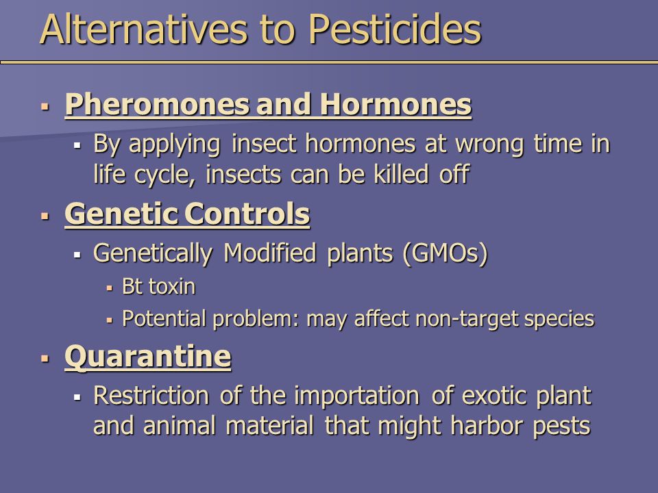 Alternatives to Pesticides  Pheromones and Hormones  By applying insect hormones at wrong time in life cycle, insects can be killed off  Genetic Controls  Genetically Modified plants (GMOs)  Bt toxin  Potential problem: may affect non-target species  Quarantine  Restriction of the importation of exotic plant and animal material that might harbor pests