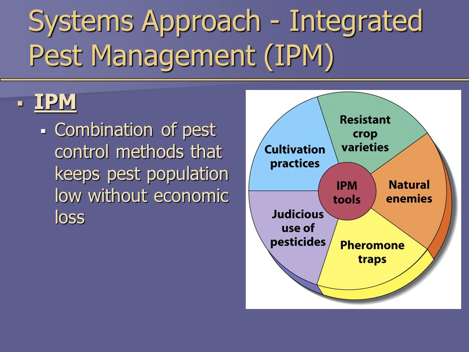 Systems Approach - Integrated Pest Management (IPM)  IPM  Combination of pest control methods that keeps pest population low without economic loss