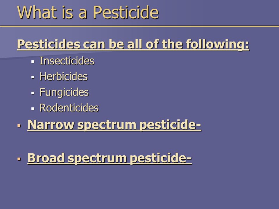 What is a Pesticide Pesticides can be all of the following:  Insecticides  Herbicides  Fungicides  Rodenticides  Narrow spectrum pesticide-  Broad spectrum pesticide-