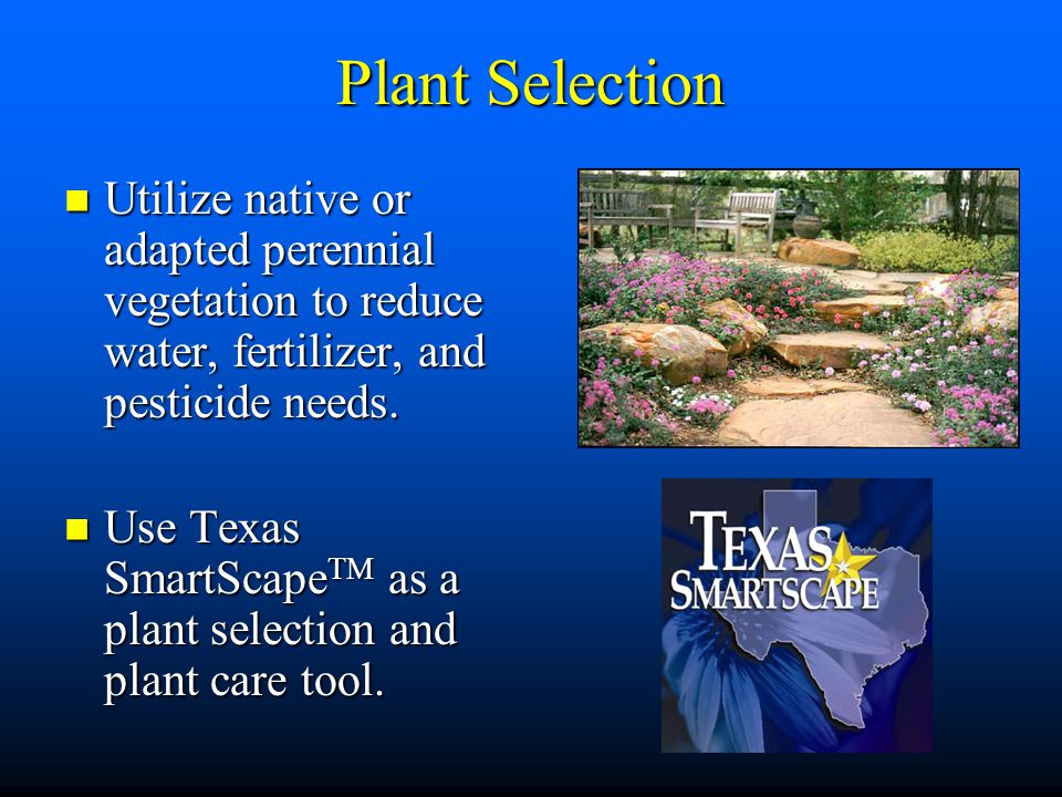 Plant Selection Utilize native or adapted perennial vegetation to reduce water, fertilizer, and pesticide needs.