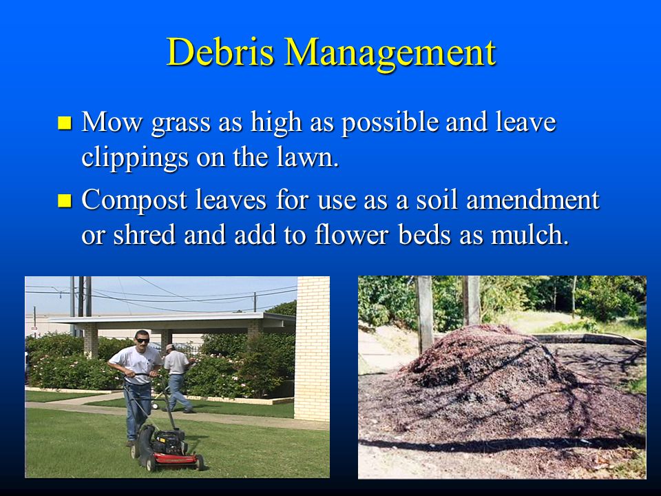 Debris Management Mow grass as high as possible and leave clippings on the lawn.