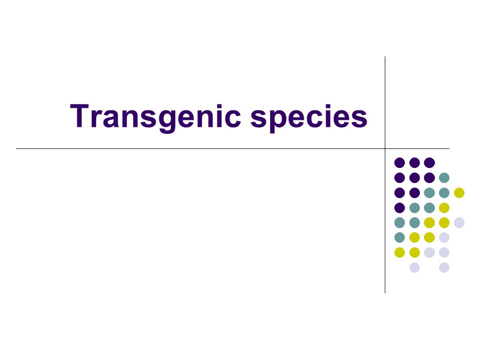 Transgenic species