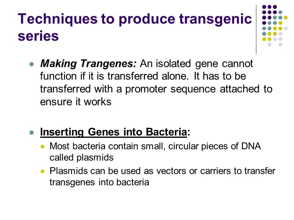 Techniques to produce transgenic series Making Trangenes: An isolated gene cannot function if it is transferred alone.