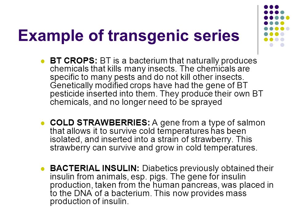 Example of transgenic series BT CROPS: BT is a bacterium that naturally produces chemicals that kills many insects.