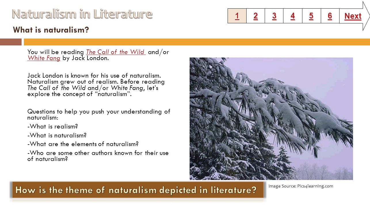 What is naturalism.