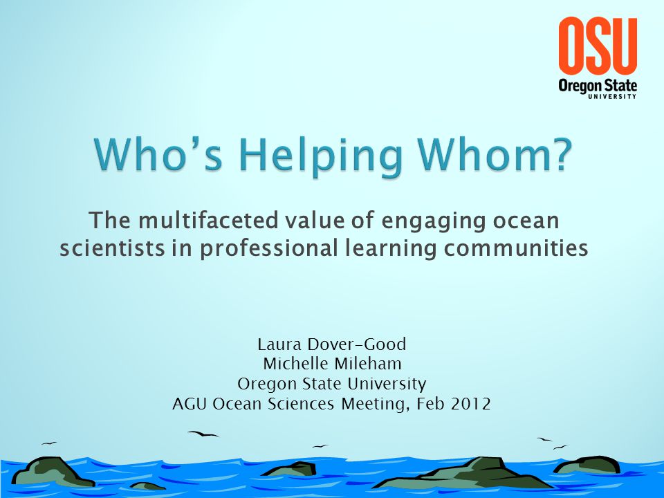 The multifaceted value of engaging ocean scientists in professional