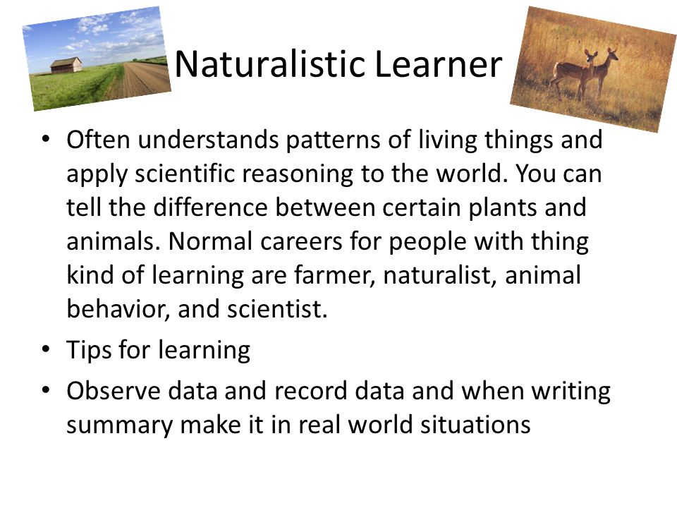 Naturalistic Learner Often understands patterns of living things and apply scientific reasoning to the world.