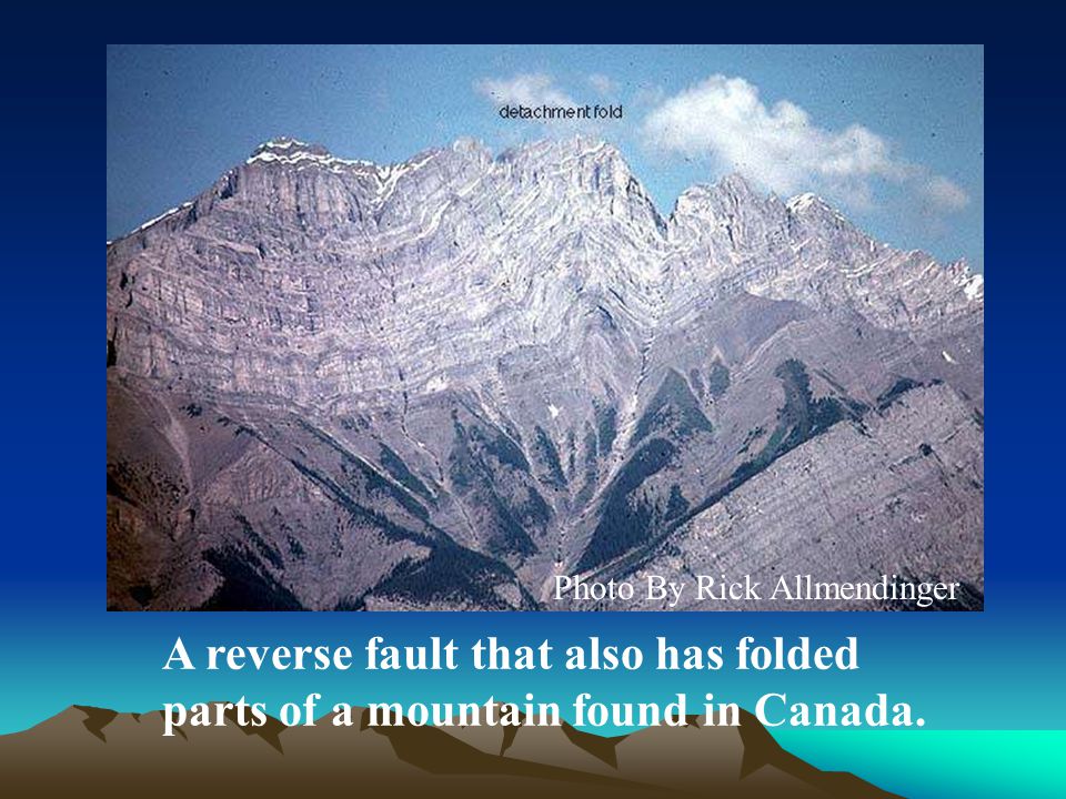 A reverse fault that also has folded parts of a mountain found in Canada.