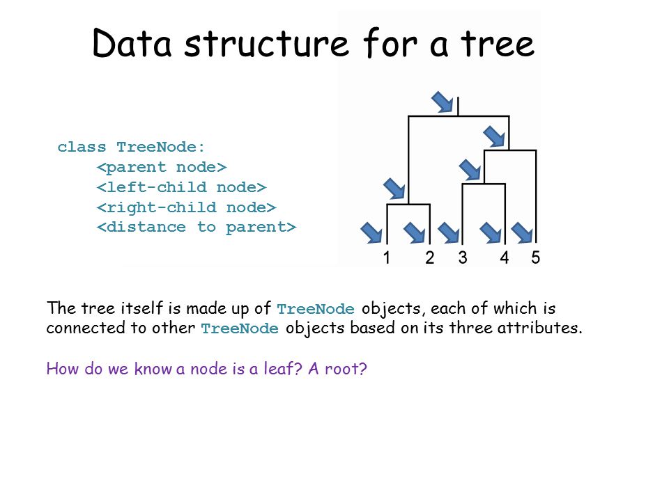 class TreeNode: The tree itself is made up of TreeNode objects, each of which is connected to other TreeNode objects based on its three attributes.