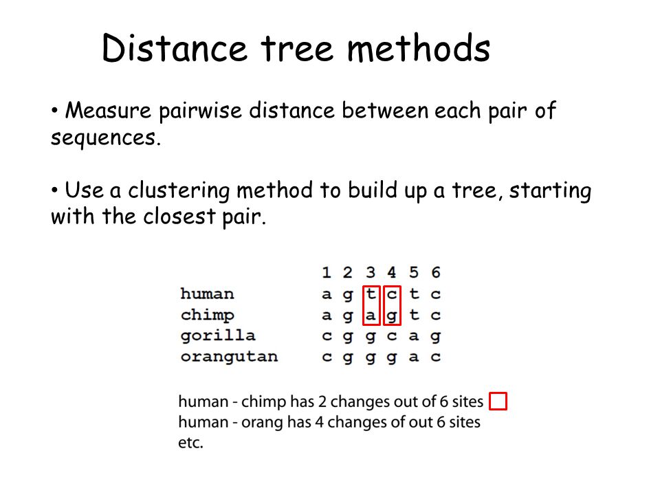 Distance tree methods Measure pairwise distance between each pair of sequences.