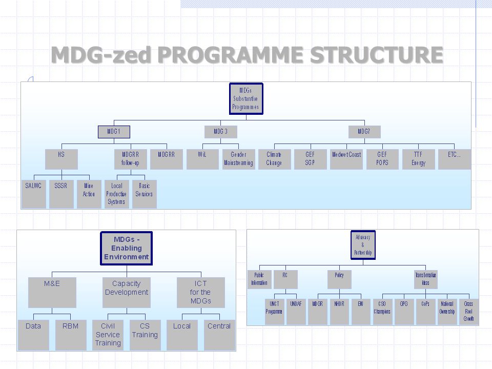 MDG-zed PROGRAMME STRUCTURE