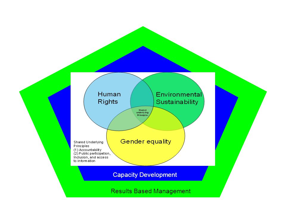 Results Based Management Capacity Development