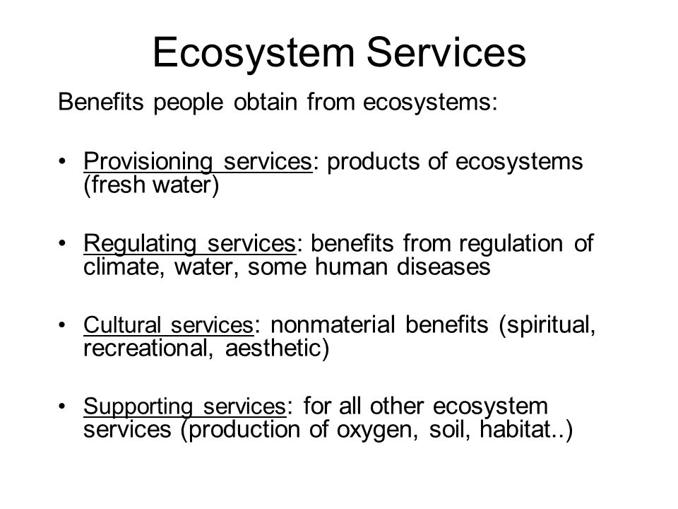 Ecosystem Services Benefits people obtain from ecosystems: Provisioning services: products of ecosystems (fresh water) Regulating services: benefits from regulation of climate, water, some human diseases Cultural services : nonmaterial benefits (spiritual, recreational, aesthetic) Supporting services : for all other ecosystem services (production of oxygen, soil, habitat..)