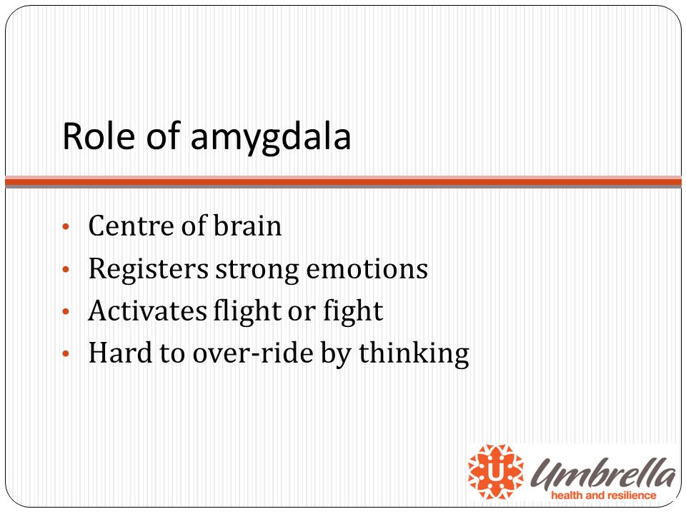 Role of amygdala Centre of brain Registers strong emotions Activates flight or fight Hard to over-ride by thinking