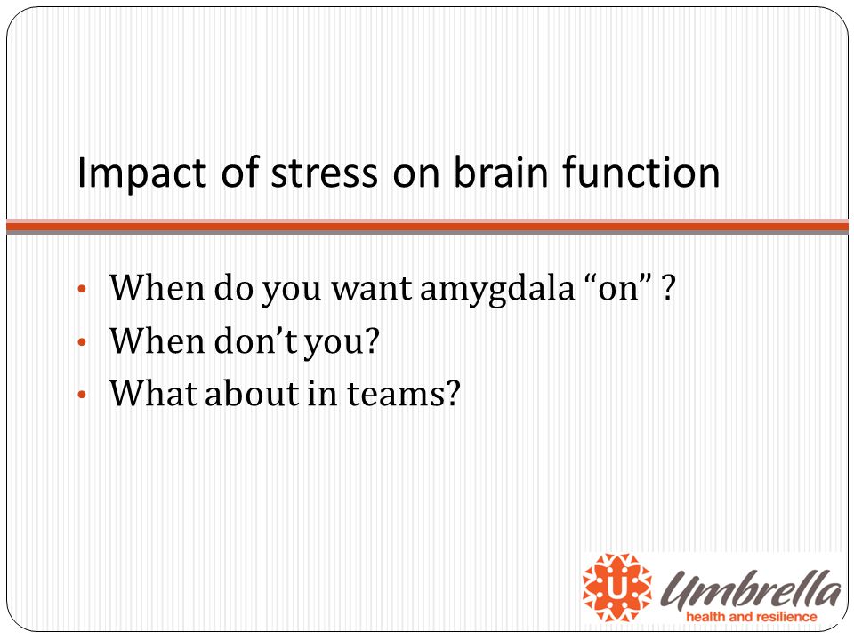Impact of stress on brain function When do you want amygdala on .