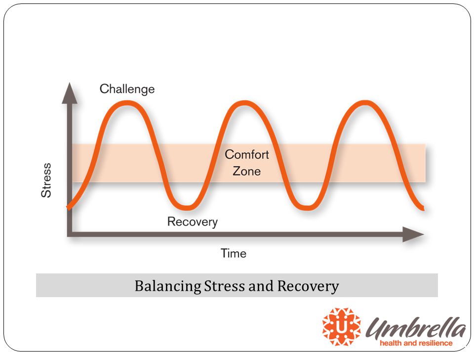 Balancing Stress and Recovery
