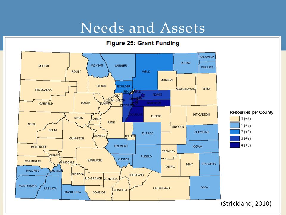 Needs and Assets 21 (Strickland, 2010)