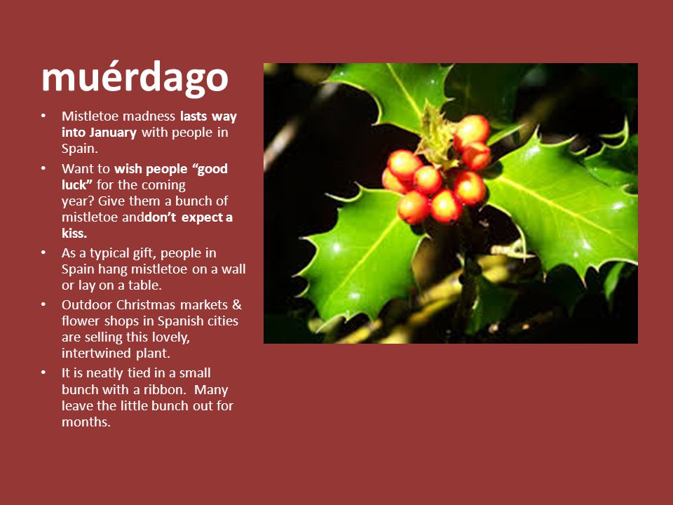 muérdago Mistletoe madness lasts way into January with people in Spain.
