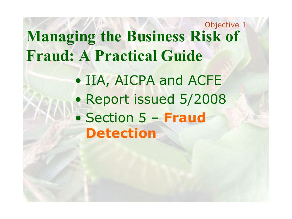 Slide 14 Joint meeting of the RDU IIA and ISACA chapters November 11, 2008, Capitol Club, Raleigh, NC Managing the Business Risk of Fraud: A Practical Guide IIA, AICPA and ACFE Report issued 5/2008 Section 5 – Fraud Detection Objective 1