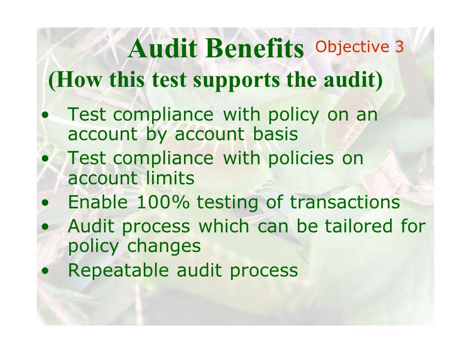 Slide 68 Joint meeting of the RDU IIA and ISACA chapters November 11, 2008, Capitol Club, Raleigh, NC Audit Benefits (How this test supports the audit) Test compliance with policy on an account by account basis Test compliance with policies on account limits Enable 100% testing of transactions Audit process which can be tailored for policy changes Repeatable audit process Objective 3