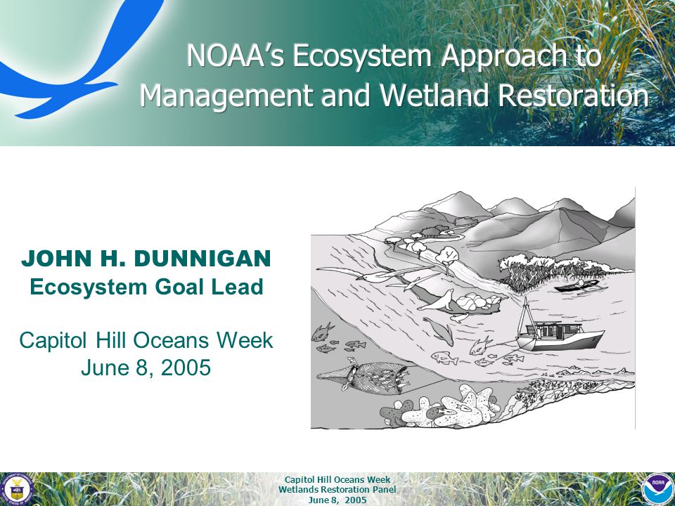 Capitol Hill Oceans Week Wetlands Restoration Panel June 8, 2005 JOHN H.