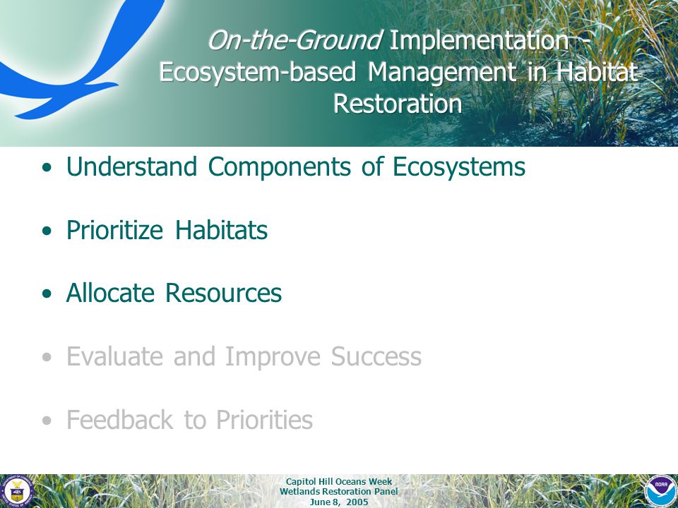 Capitol Hill Oceans Week Wetlands Restoration Panel June 8, 2005 Understand Components of Ecosystems Prioritize Habitats Allocate Resources Evaluate and Improve Success Feedback to Priorities