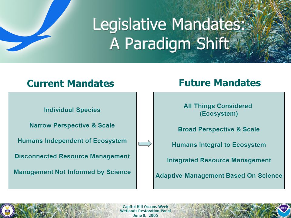 Capitol Hill Oceans Week Wetlands Restoration Panel June 8, 2005 Individual Species Narrow Perspective & Scale Humans Independent of Ecosystem Disconnected Resource Management Management Not Informed by Science All Things Considered (Ecosystem) Broad Perspective & Scale Humans Integral to Ecosystem Integrated Resource Management Adaptive Management Based On Science Current Mandates Future Mandates