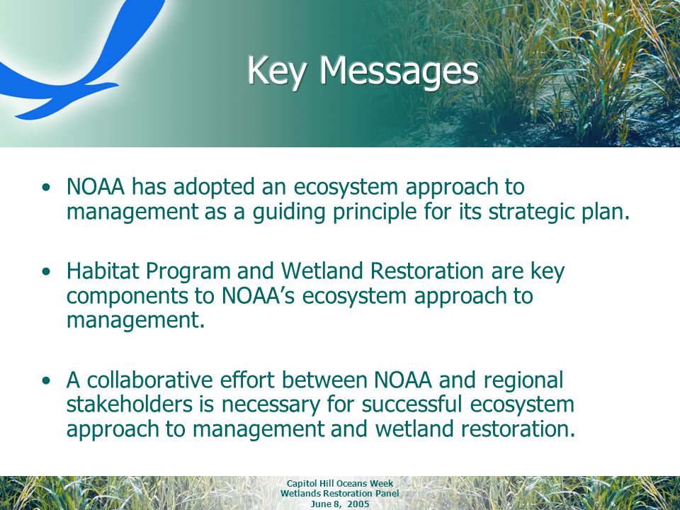Capitol Hill Oceans Week Wetlands Restoration Panel June 8, 2005 NOAA has adopted an ecosystem approach to management as a guiding principle for its strategic plan.