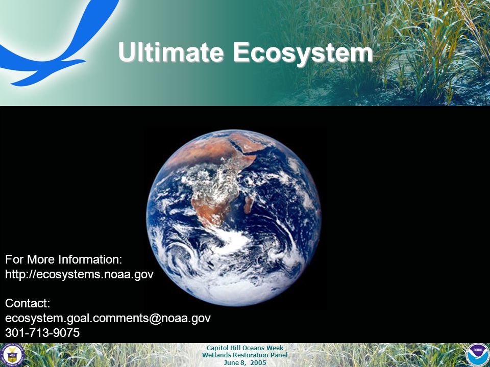 Capitol Hill Oceans Week Wetlands Restoration Panel June 8, 2005 Ultimate Ecosystem Contact: For More Information: