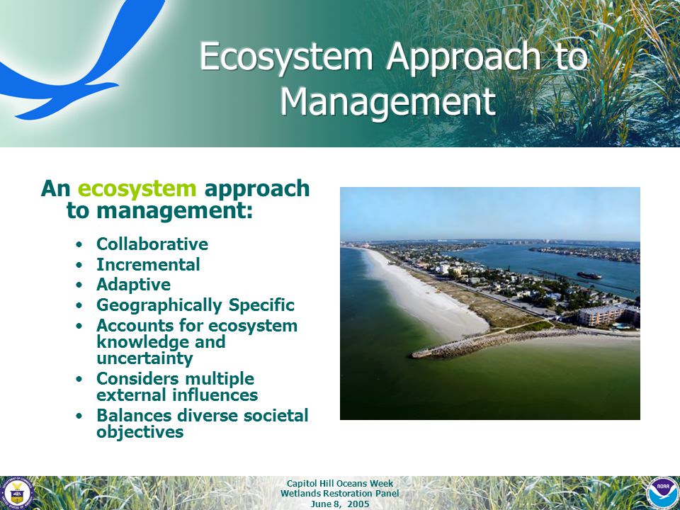 Capitol Hill Oceans Week Wetlands Restoration Panel June 8, 2005 An ecosystem approach to management: Collaborative Incremental Adaptive Geographically Specific Accounts for ecosystem knowledge and uncertainty Considers multiple external influences Balances diverse societal objectives