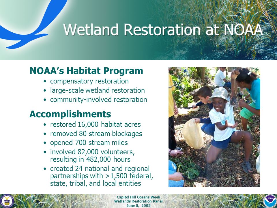 Capitol Hill Oceans Week Wetlands Restoration Panel June 8, 2005 NOAA’s Habitat Program compensatory restoration large-scale wetland restoration community-involved restoration Accomplishments restored 16,000 habitat acres removed 80 stream blockages opened 700 stream miles involved 82,000 volunteers, resulting in 482,000 hours created 24 national and regional partnerships with >1,500 federal, state, tribal, and local entities